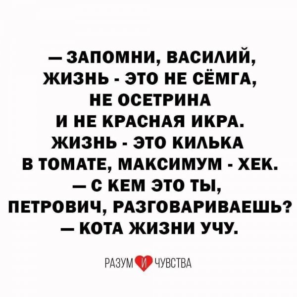 IMG 20261003 070822