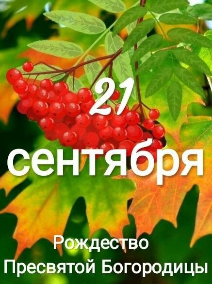 B62a127a1b032e00687810f9e78b8e63