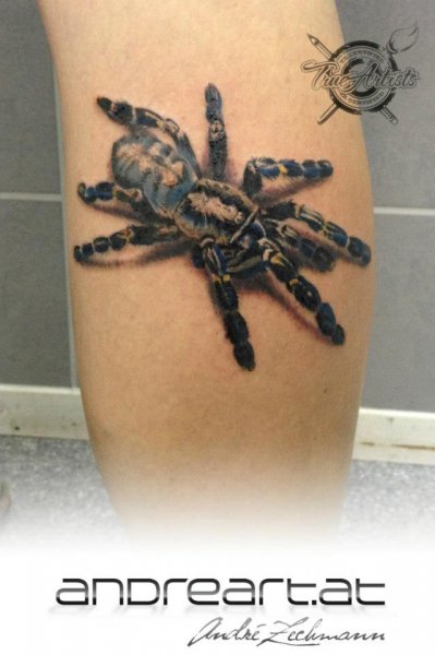 Tattoo (1025)