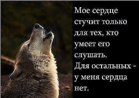 Сердце