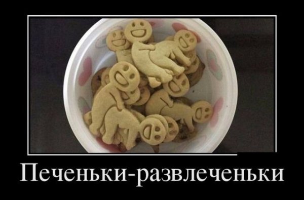 e17aa4fbb2e89e