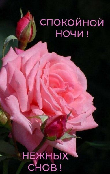 Спокойной ночи!