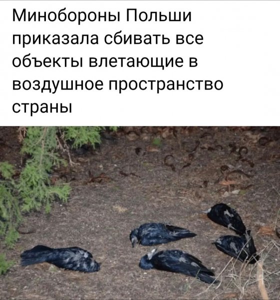 IMG 20260920 171458