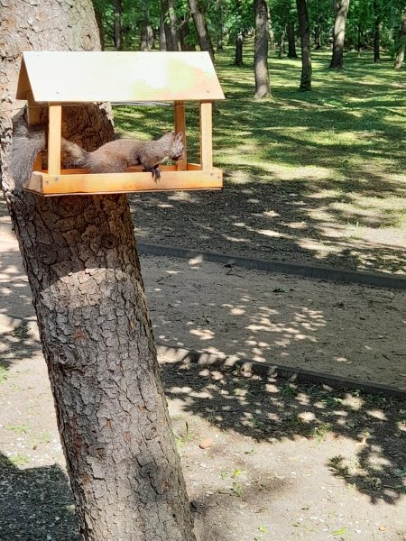 picture_366694097