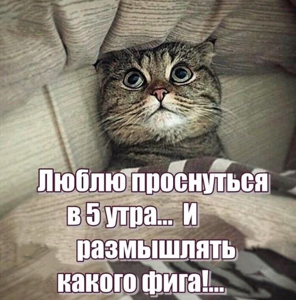 Какого фига!