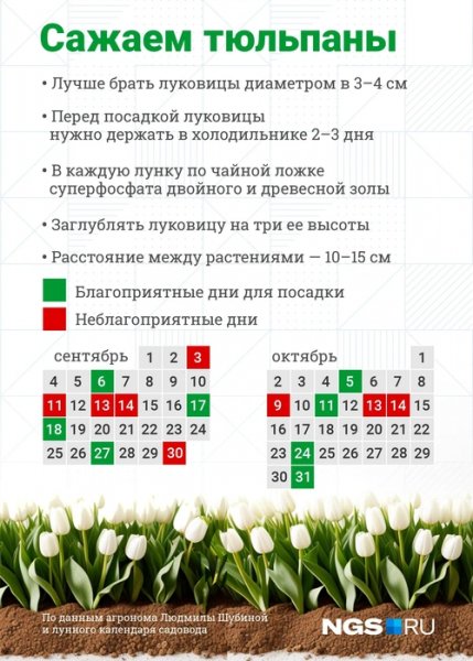 Осенняя посадка