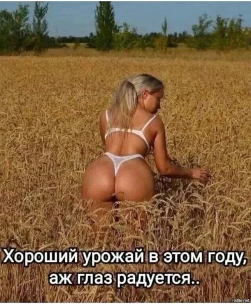 IMG 20261001 171016 397