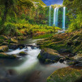 a-waterfall-flowing-through-a-subtropical-forest-8k-t4-5120x2880.jpg