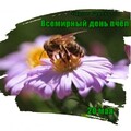 20 мая - Всемирный День Пчёл.jpg