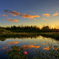 30016-priroda ozero solntse voshod nebo oblaka derevya nature the lake sun sunrise sky clouds trees.jpg