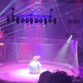 В цирке Владивостока тигр во время выступления покакал.mp4