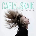 Carly Van Skaik - Red Leaves.mp3