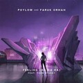 Faruk Orman ft Poylow ft Todd Stucky - Feeling (Da Da Da).mp3
