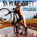 Skylar Grey feat Eminem - C mon Let Me Ride.mp3