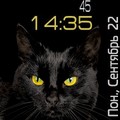 black cat 4.swf