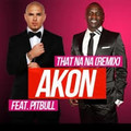 Akon feat Pitbull - That Na Na (Remix).mp3