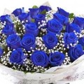 Голубые Розы.jpg