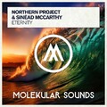 Northern Project  Sinéad McCarthy - Eternity [Molekular Sounds] Extended.mp3
