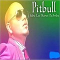 Pitbull - Sube Las Manos Pa Arriba.mp3