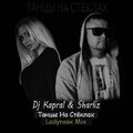 DJ Kapral - Танцы На Стеклах (ft Sharliz).mp3