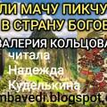 Жители Мачу Пикчу ушли в страну богов-Валерия Кольцова.mp3