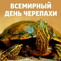 23 мая Всемирный День Черепахи.jpg
