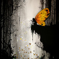 butterfly fairy.jpg