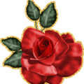 Красная роза.gif