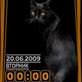 black cat 2.swf