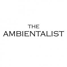 The Ambientalist - Still Time