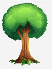 9 1148972.tree.tree.clipart