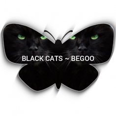 Black Cats - Yeki Bood Yeki Nabood