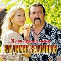 Владимир Ждамиров - А Ты Прости Меня