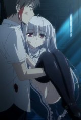 Идеальная пара Absolute Duo