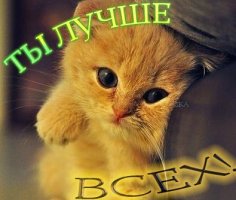 Лутше всехUiW3w2tISUM