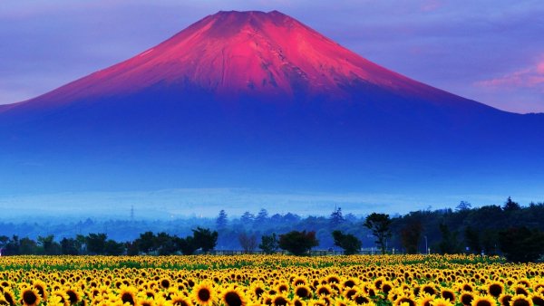 file_58623220