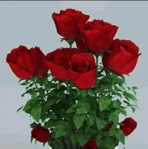 FB IMG 1688124578176