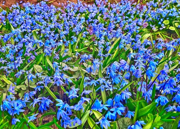 file_93869782