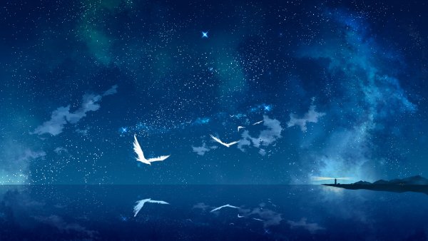 пейзаж ночь море звезды птицы маяк обои