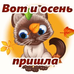 file_74652886
