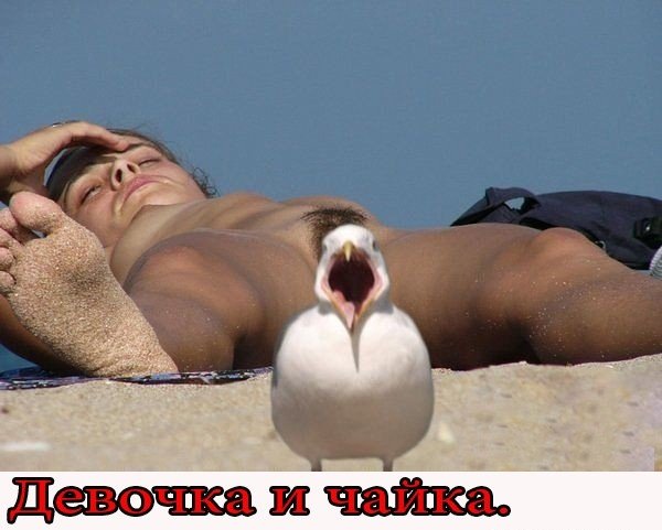 Кыш кыш..