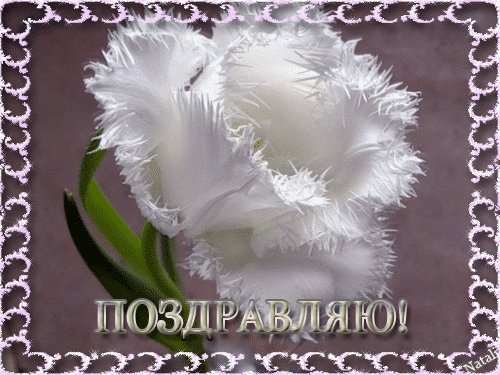 f84e575e3c00