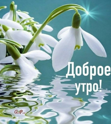 IMG 20240320 014249