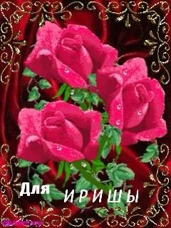 Заказ