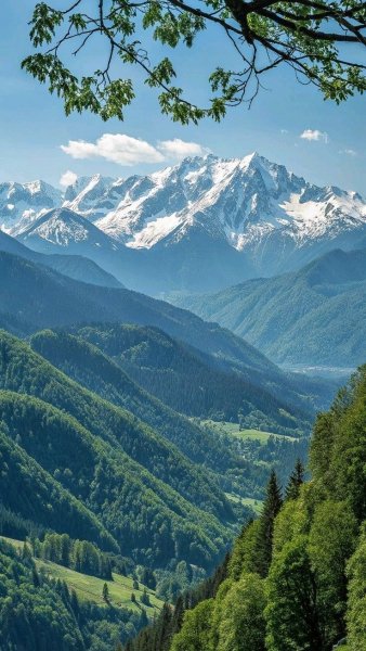file_101548877