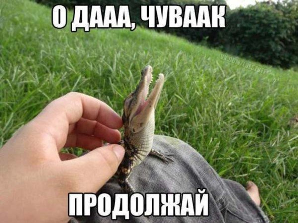file_78647223