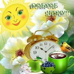 Доброе утро