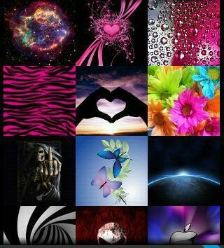 Swisscodemonkeys.wallpape