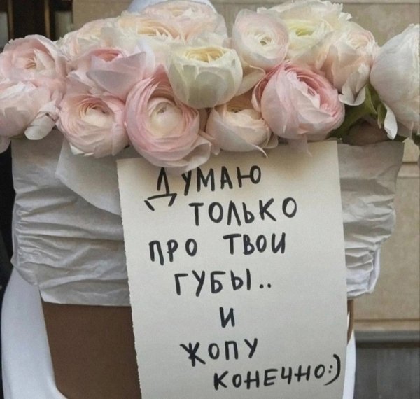 file_96221880