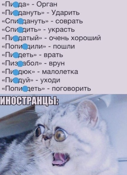 file_101013011